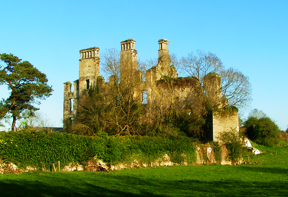 Barrymore Castle or another castle ruin