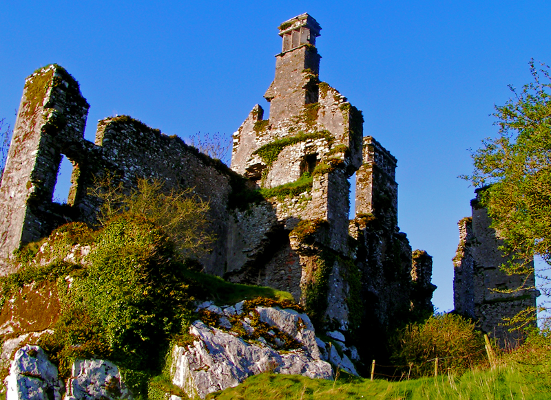 Barrymore Castle or another castle ruin