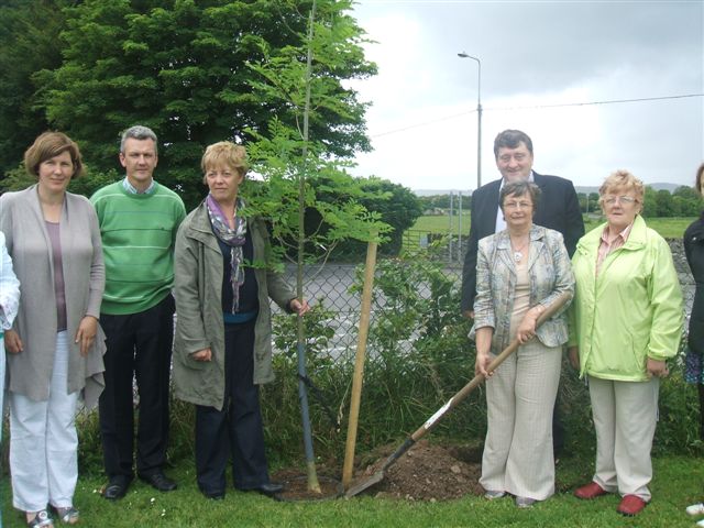 Archive photograph associated with graph likely relating to tree planting